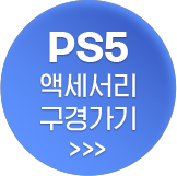 PS5 액세서리 구경가기