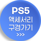 PS5 액세서리 구경가기