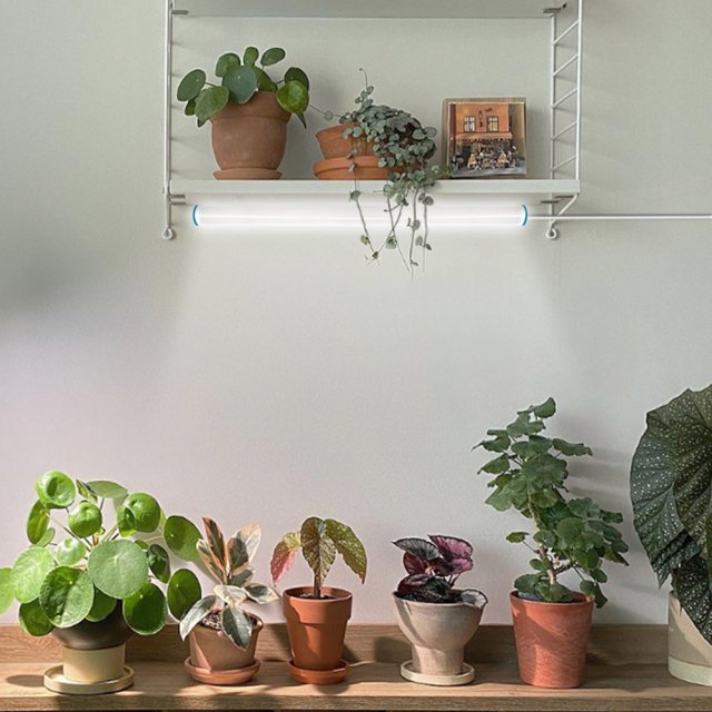 필립스 루미네어 USB BAR 식물등 LED 식물조명 재배등 생장등