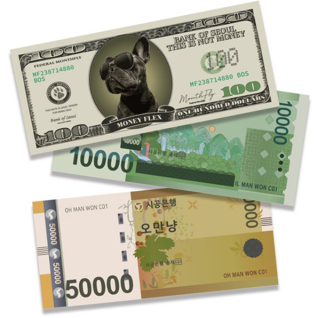 페이크머니 가짜 돈 지폐 지전 3종 80매 종이 화폐[갓샵]