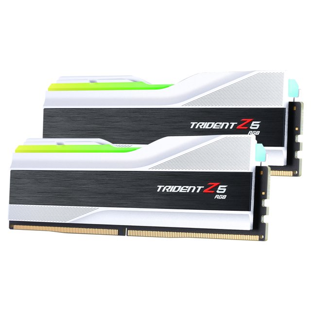 [서린공식] G.SKILL DDR5 5600 CL30 TRIDENT Z5 RGB J 실버 패키지 32GB(16Gx2)