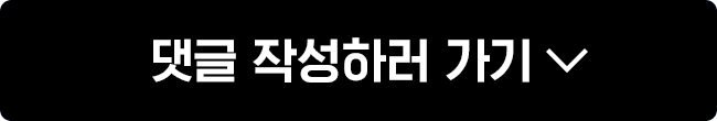 댓글 작성하러 가기