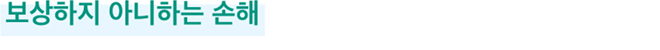 보상하지 아니하는 손해