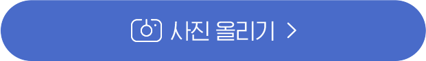 사진 올리기