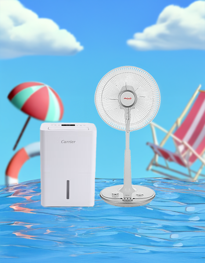 선풍기&제습기 모음! 시원한 SALE🌀