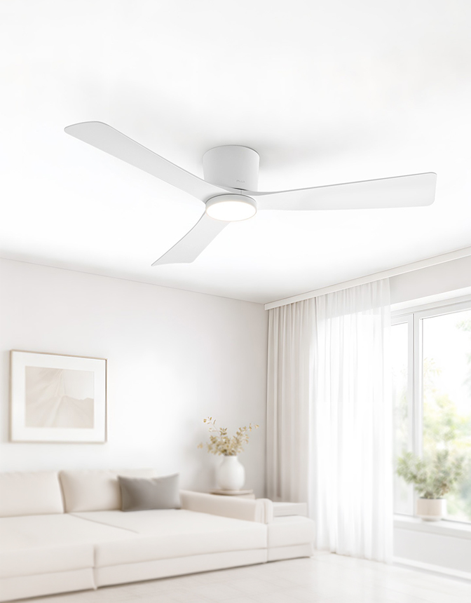 [LIVE] PLUX 1주년 특집! 실링팬 예약판매&인기상품 모음