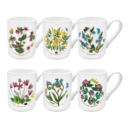 보타닉가든 커피머그  1p