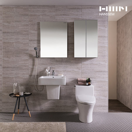 하이바스 시티그레이 소형/부부욕실