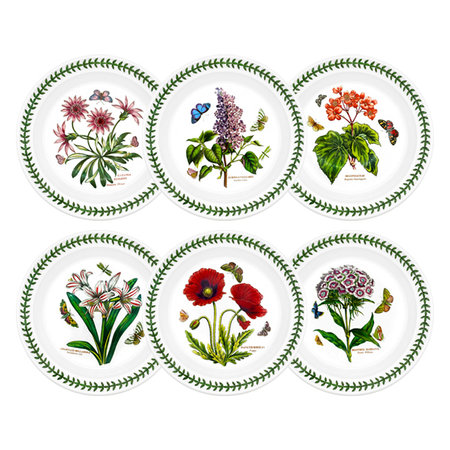 보타닉가든 중접시 21cm 3p