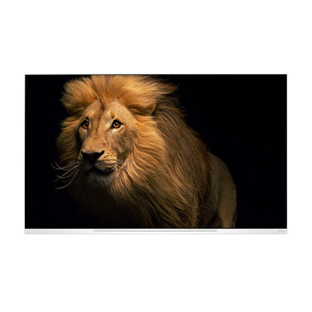 138cm OLED TV OLED55E9KNA (스탠드형)