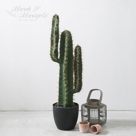 XX판매종료XX사용안함XX 조화 귀면각 선인장S_79CM FMNA008722 XX판매종료XX사용안함XX