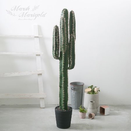 XX판매종료XX사용안함XX 조화 귀면각 선인장L_140CM FMNA011006 XX판매종료XX사용안함XX