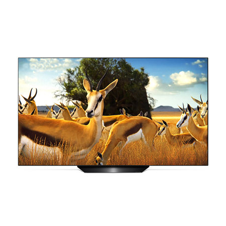 138cm OLED TV OLED55B9BNA (스탠드형)