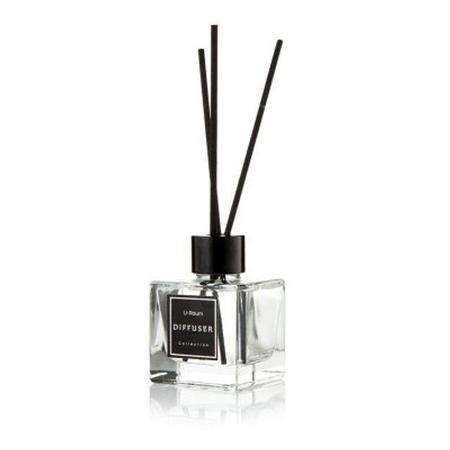 다용도 차량 방향제 디퓨저 발삼유칼립투스_38224A