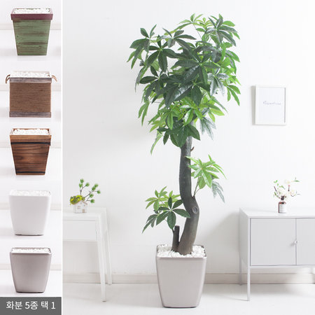 파키라화분set 195cm KO(5-5)/ 인조 조화 나무 FREOFT A타입-3