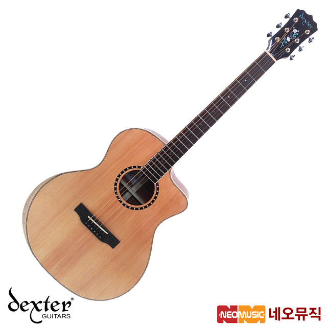 덱스터어쿠스틱기타TG Dexter Guitar LASSO GA EQ