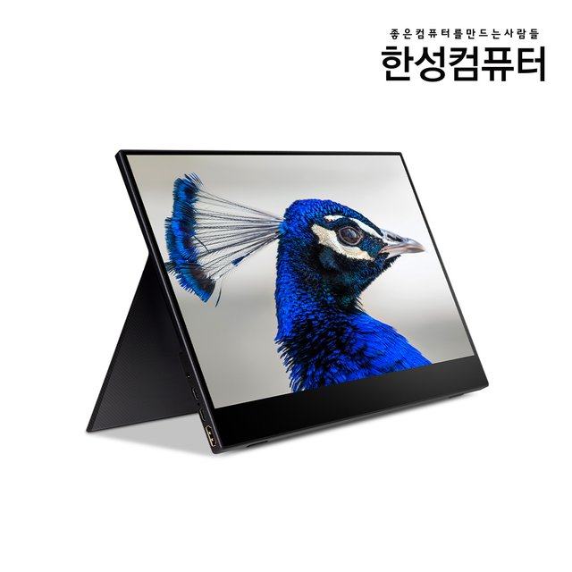 Hansung Computer 15.6 Inch IPS FHD Multi Touch Portable